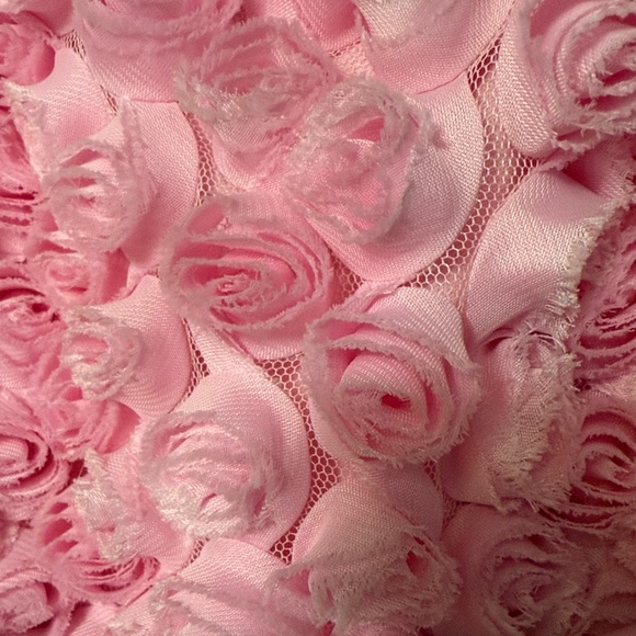 Girls 2T Le Pink Rosette Dress with Bow roses boutique EUC - Picture 3 of 4